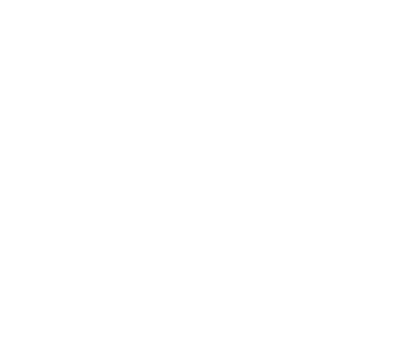 Fitness influencer with over 650k followers